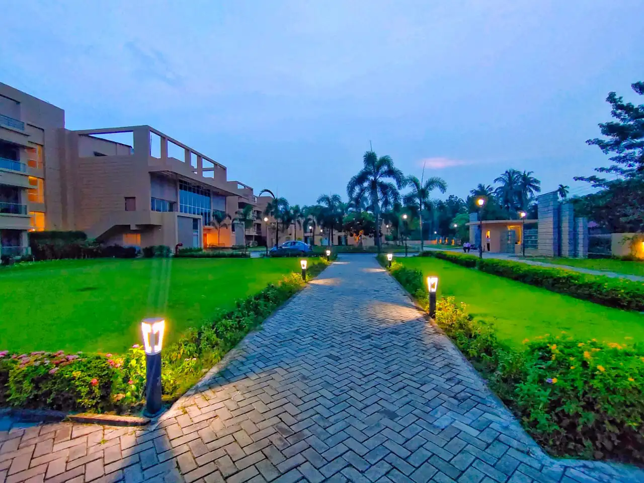 Front Lawn